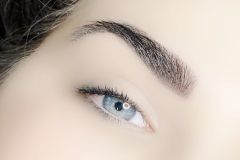 Euro-Glam-eyebrows32