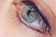 EuroGlam-Microblading-2_221